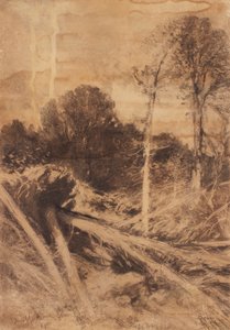 Baumstudie von August Schaeffer von Wienwald