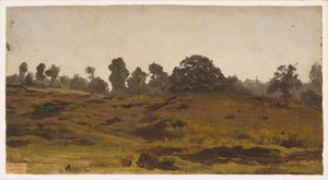 Ansicht eines Feldes von Auguste Francois Bonheur