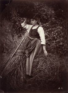 Bauer, um 1870