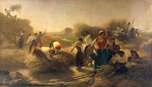 Rapsdreschen auf den Feldern von Lille