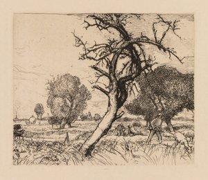 Auguste Lepère: Der tote Apfelbaum (Picardie)