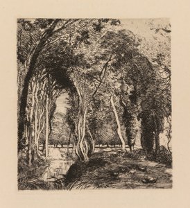 Auguste Lepère: Unterholz, bei La Rigonette (Vendée) von Auguste Louis Lepère