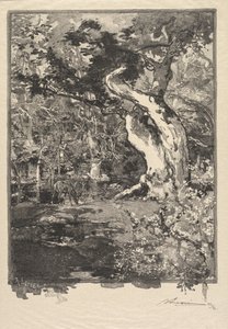 Wald von Fontainebleau: Le Clovis, Plateau de Bellecroix
