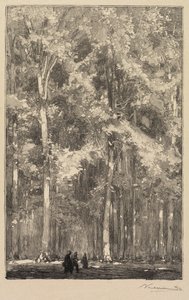 Fontainebleau Wald: Morgen, Kreuzung der Route der Forts de Marlotte..., 1890 von Auguste Louis Lepère
