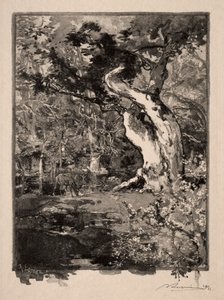 Le Clovis, Plateau de Bellecroix, 1890 von Auguste Louis Lepère