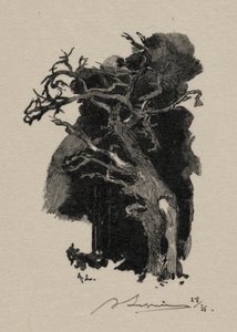 Der Wütende