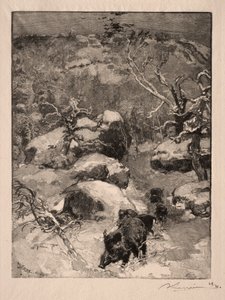 Roche Cuvier Chatillon, 1887 von Auguste Louis Lepère