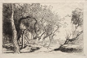 Der verdrehte Baum