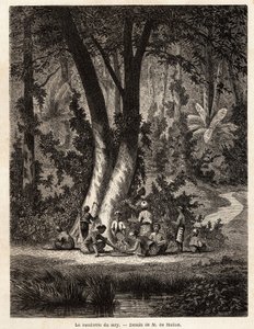 Das Pflücken von Syri oder Betel, dessen mit Kalk beschichtetes Blatt für die Herstellung von lokalem Chic unerlässlich ist. Zeichnung von M. de Molins, zur Illustration seiner Reise nach Java von Auguste de Molins