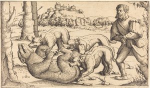 Bärenjagd von Augustin Hirschvogel