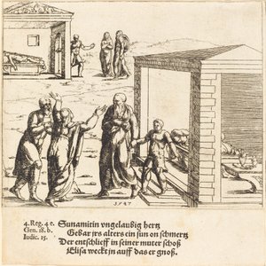 Elisa erweckt den Sohn der Schunemiterin, 1547 von Augustin Hirschvogel