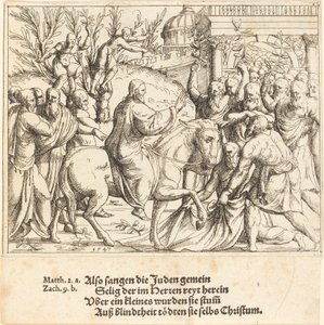 Der Einzug in Jerusalem von Augustin Hirschvogel
