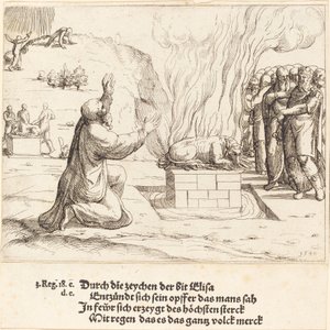 Die rivalisierenden Opfer von Elija und den Priestern des Baal von Augustin Hirschvogel