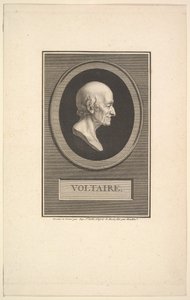 Porträt von Voltaire