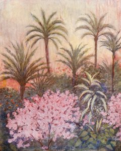 Ein Palmengarten in Murcia