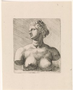 Büste der Venus de