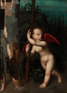 Amor mit einer Myrte, vor 1593