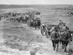 Limbers der 6. Brigade der Australischen Feldartillerie bringen Munition zu den Geschützen durch die Hindenburg-Linie in der Nähe von Bellicourt, 4. Oktober 1918 von Australian Photographer