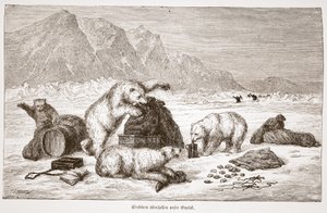 Eisbären greifen unser Gepäck an, veröffentlicht in Wien 1876