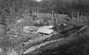 Fazenda de Criação Campos do Jordão, Criação Farm, 1895