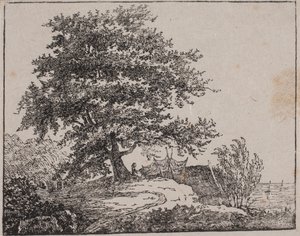 Baum auf einem Abhang am Meer