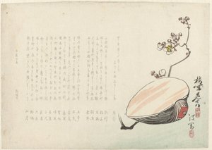 Muschel von Ayaoka Yûshin