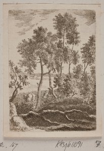 Waldpartie