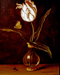 Eine einzelne Tulpe in einer Vase von Balthasar van der Ast