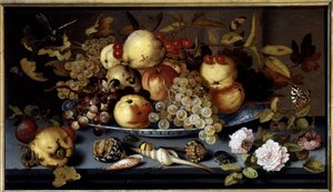 Stillleben mit Früchten, Blumen, Muscheln und Insekten