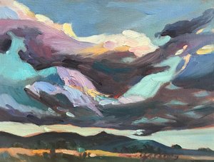 Dunkler Himmel in New Mexico von Barbara Cleary