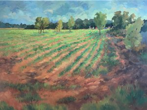 Früher Morgen von Barbara Cleary