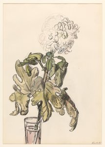 Blühende Chrysantheme in einer Vase