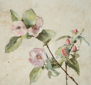 Zweige mit rosa Blumen