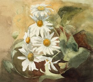 Gänseblümchen von Barbara Leigh Smith Bodichon