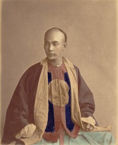 Soldat der Linie, 1870er Jahre