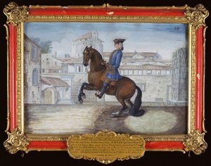 Nr. 35 Ein Barbary-Bay-Pferd der Spanischen Hofreitschule, das eine Dressurbewegung auf dem Markusplatz in Florenz ausführt