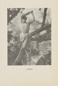 Erwartung von Baron Wilhelm von Gloeden