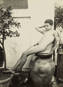 [Nackter Jüngling im Garten]