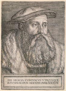 Herzog Ludwig von Bayern von Barthel Beham