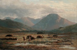 Torfmoor, Letterfrack, Connemara