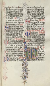 Missale: Fol. 260: Laubwerk mit Früchten