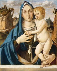 Madonna und Kind von Bartolomeo Montagna