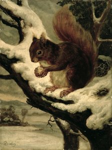 Ein rotes Eichhörnchen, das eine Nuss isst von Basil Bradley