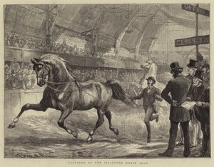 Trabrennen auf der Islington Horse Show von Basil Bradley