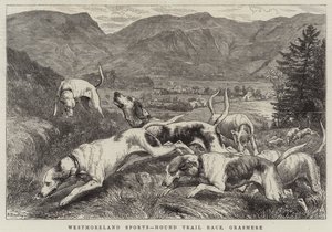 Westmoreland Sports, Hunderennen, Grasmere von Basil Bradley
