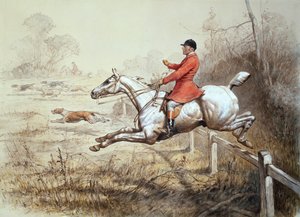 Über den Zaun von Basil J. Nightingale