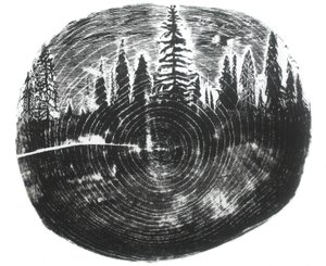 Zwei Wälder, 2016