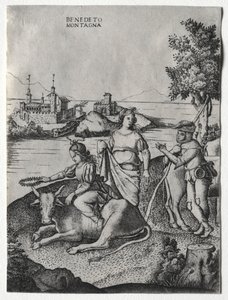 Raub der Europa von Benedetto Montagna