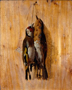 Studie nach der Natur: Zwei tote Vögel an der Wand