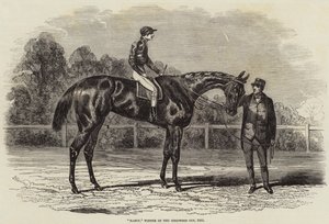 Nancy, Gewinnerin des Goodwood Cups, 1851 von Benjamin Herring